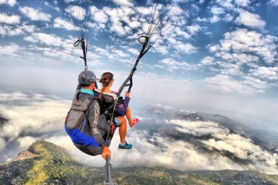 What Is The Difference Between Nitinol Wire And Steel Wire?